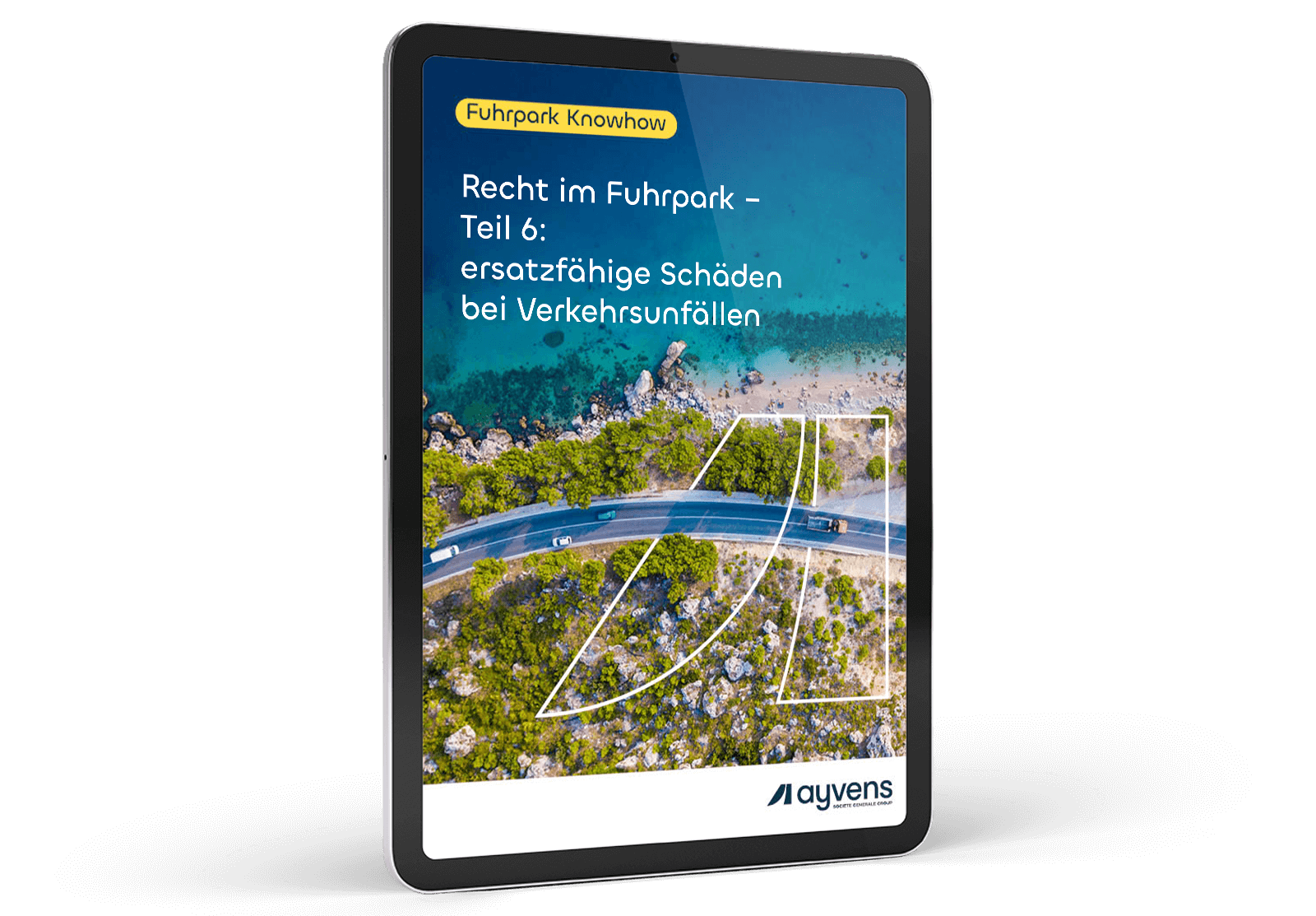 Was sollten Sie bei Anspruch auf Schadenersatz für Firmenfahrzeuge und auf Schmerzensgeld beachten?